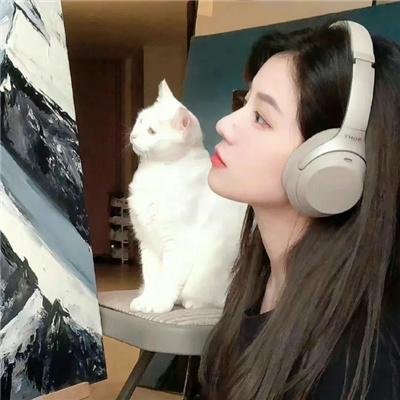 禽兽